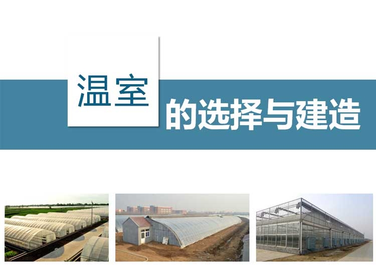 温室大棚的选择分类图片