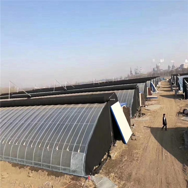 温室大棚管图片