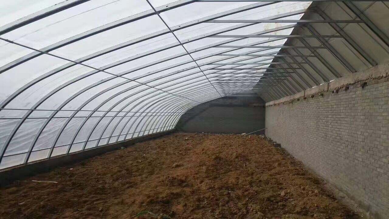 砖墙日光温室大棚图片 砖墙日光温室大棚图片